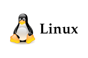 linux master big data ia