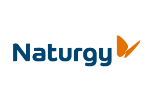 Practicas Máster Big Data en naturgy